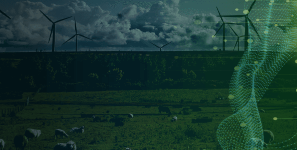 UWM | Enwex U.K. Onshore Wind Futures Contract