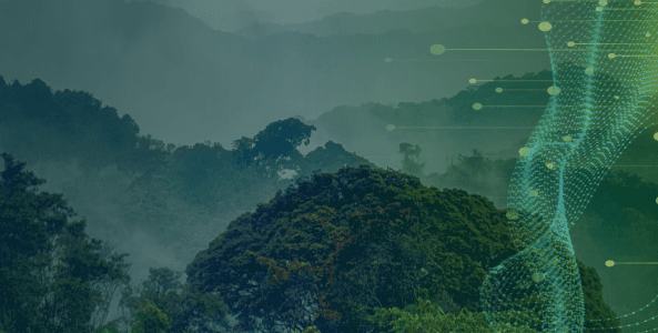 RD1 | JREDD+ Carbon Offset Unit Futures Contract