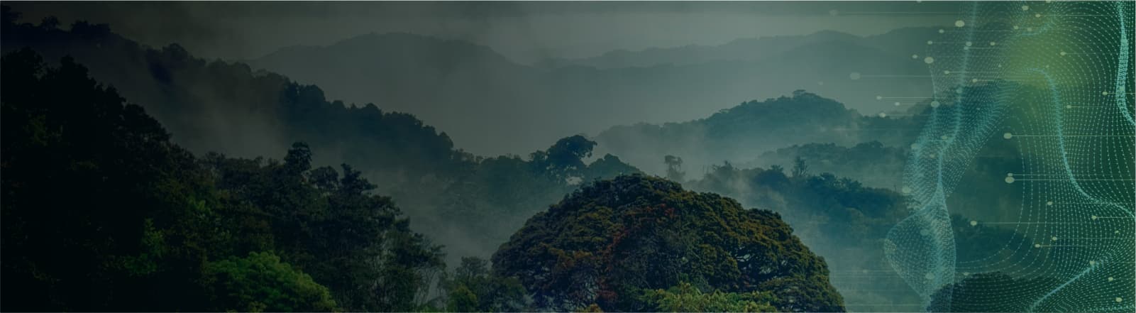 RD1 | JREDD+ Carbon Offset Units Futures Contract